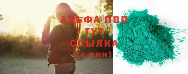 PSILOCYBIN Волосово