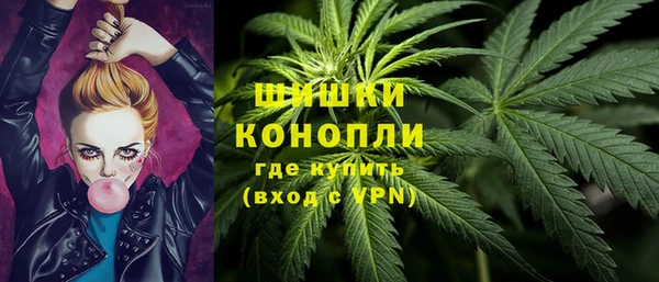 PSILOCYBIN Волосово