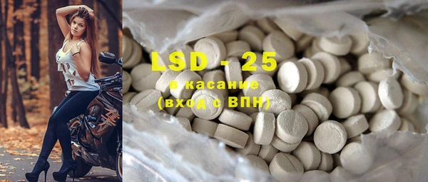PSILOCYBIN Волосово